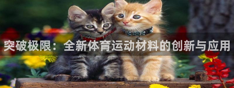 球新体育