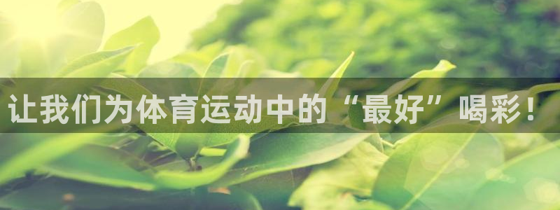 球新体育
