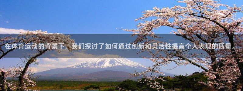 关键词：在体育运动的背景下，我们探讨了如何通过创新和灵活性提高个人表现的质量。