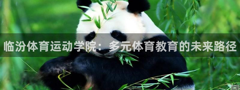 关键词：临汾体育运动学院：多元体育教育的未来路径
