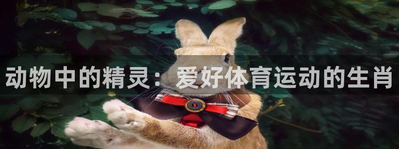 关键词：动物中的精灵：爱好体育运动的生肖